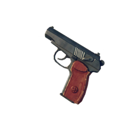 ПМ